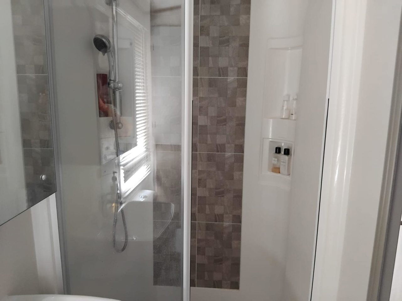 David Shower RP