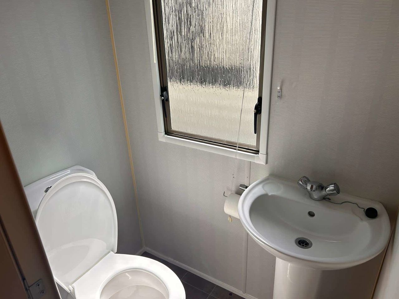 salsa toilet